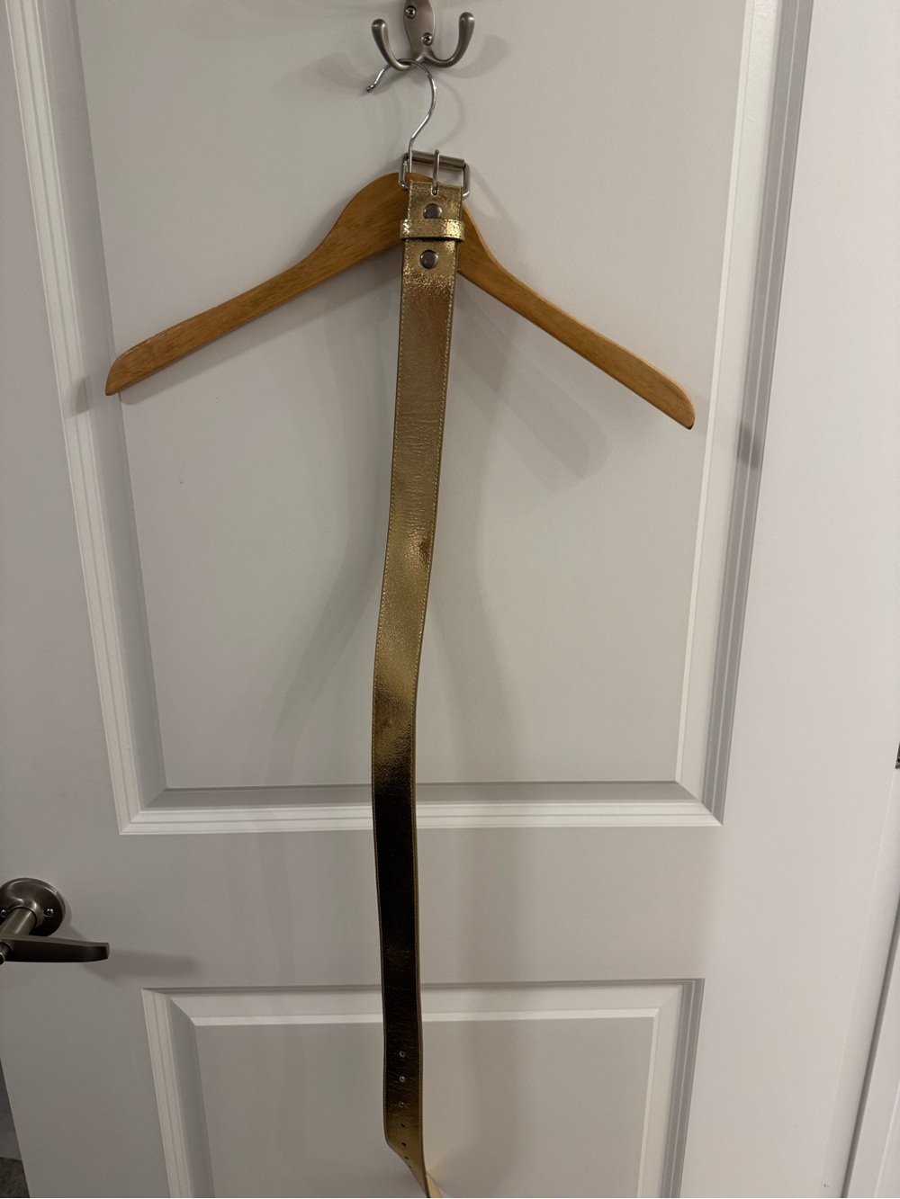 Y2K GENUINE LEATHER Gold Metallic Belt
